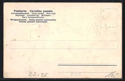 AK Adler, Briefmarken von Deutsch-Südwestafrika, Deutsche Kolonie