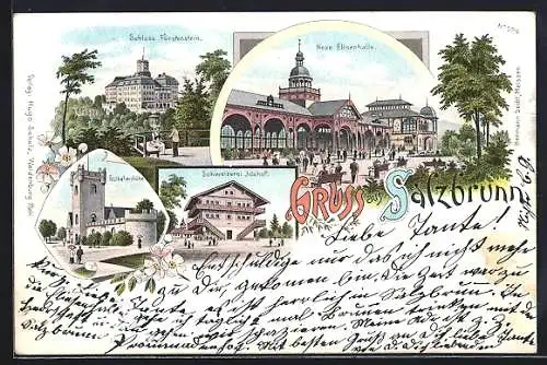 Lithographie Salzbrunn, Neue Elisenhalle, Gasthaus Schweizerei Idahof, Schloss Fürstenstein