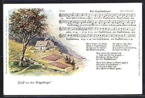 AK Erzgebirge, Dar Duglbärbaam, Notenzeilen und Liedtext, Bauernhaus