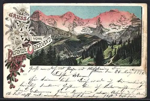 Lithographie Berner Oberland, Bergpanorama im Edelweiss-Passepartout