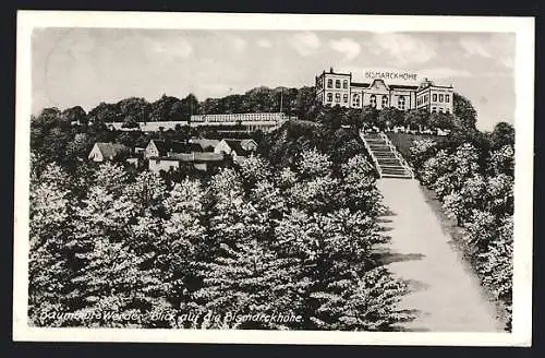 AK Werder / Havel, Blick auf die Bismarckhöhe bei Baumblüte