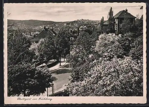 AK Stuttgart, Strassenpartie im Frühling