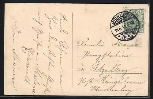 AK Mülhausen / Mulhouse, Rue du sauvage, Wildemannstrasse, Radfahrer