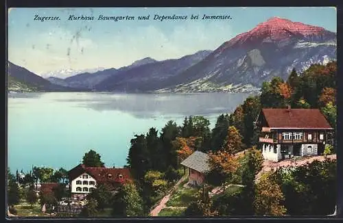 AK Immensee /Zugersee, Kurhaus Baumgarten und Dependance