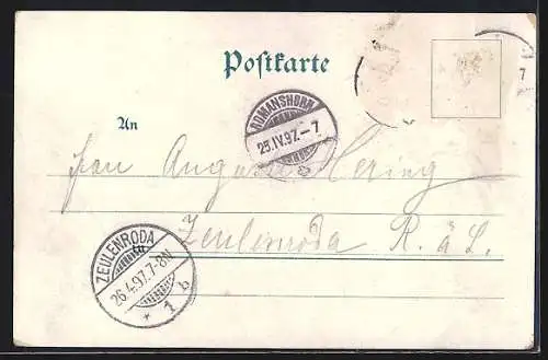 Lithographie Salondampfer Raddampfer fährt auf dem Bodensee