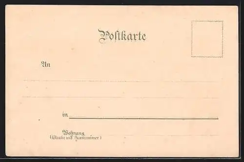 Lithographie Konstanz / Bodensee, Raddampfer-Partie