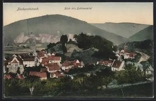AK Neckarsteinach, Ortsansicht mit Blick ins Schönauertal