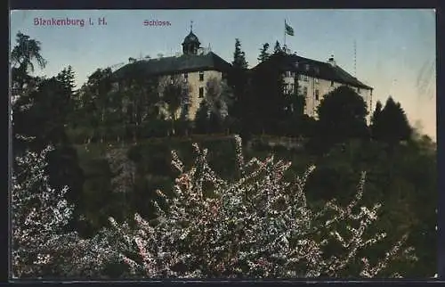 AK Blankenburg i. H., Schloss, Ansicht im Frühling