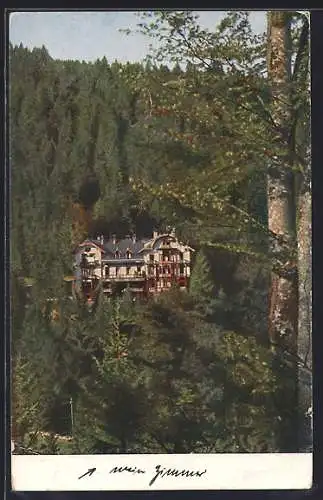 AK St. Blasien, Pension Villa Kehrwieder mit Umgebung aus der Vogelschau