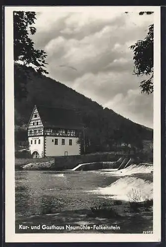 AK Tiergarten /Donautal, Kur- u. Gasthaus Neumühle-Falkenstein J. Stengele mit Umgebung