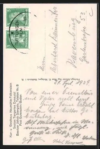 AK Tiergarten /Donautal, Kur- u. Gasthaus Neumühle-Falkenstein J. Stengele mit Umgebung