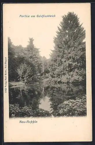 AK Neuruppin, Partie am Goldfischteich