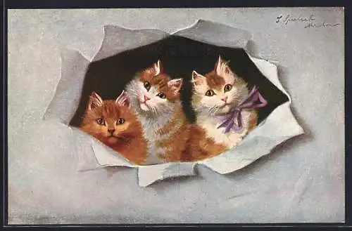 AK Drei kleine Katzen blicken durch ein Loch