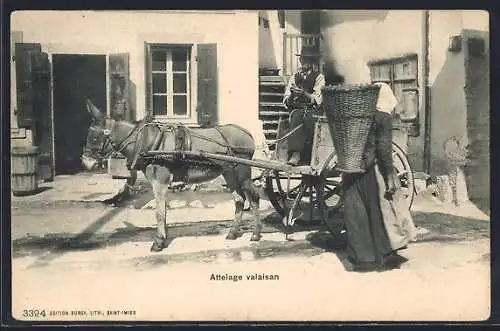 AK Schweiz, Attelage valaisan, Frau mit Eselskarren