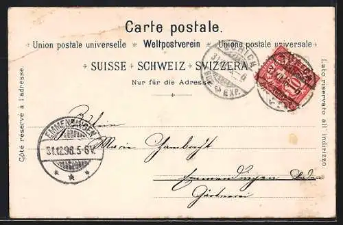 Lithographie Zürich, Ortsansicht aus der Vogelschau