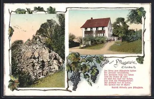 AK Erlenbach /ZH, Das Gasthaus zum Pflugstein, der Pflugstein, Wein