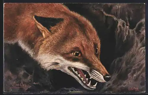 Künstler-AK Angriffsfreudiger Fuchs