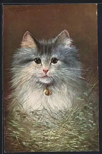 Künstler-AK August Müller - München: Süsse Katze mit Glöckchen um den Hals