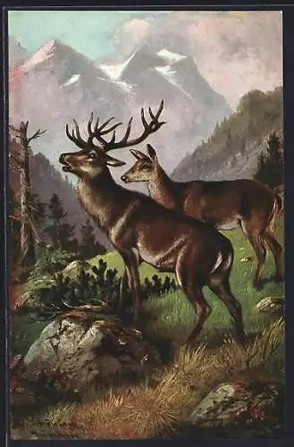 Künstler-AK Alfred Schönian: Hirsch und Reh auf einem Berg