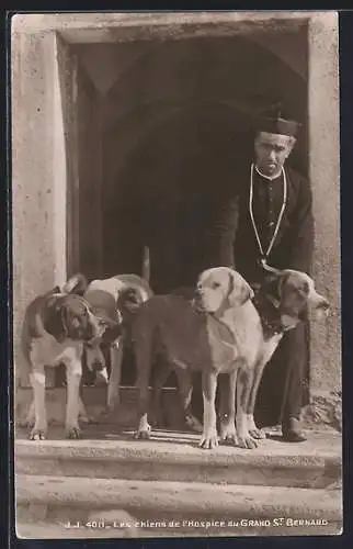 AK Grand St. Bernard, Les Chiens de l`Hospice