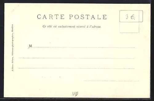 AK Nyon, Vue generale