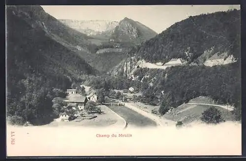 AK Champ du Moulin, Totalansicht mit Brücke, um 1900