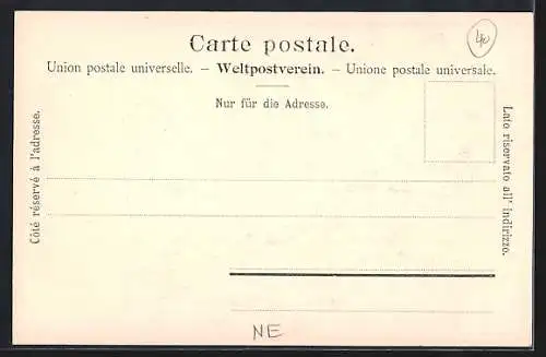 AK Champ du Moulin, Totalansicht mit Brücke, um 1900