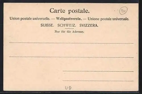 AK Morges, Vue Generale