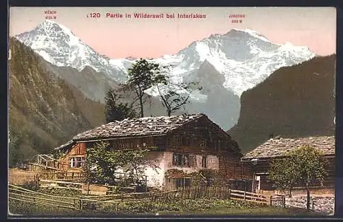 AK Wilderswil, Partie mit Bauernhaus und Blick zur Jungfrau