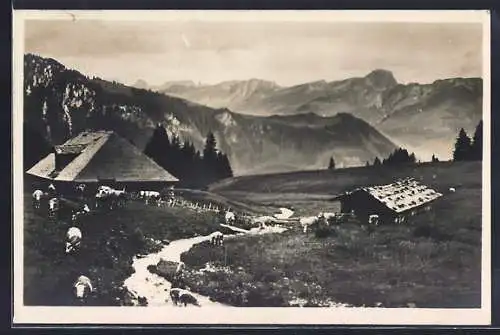 AK Rotbad, Brunialp, Weidende Kühe vor der Almhütte