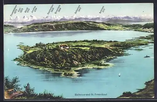 AK St. Peterinsel, Blick zur Insel im Bielersee mit Doldenhorn, Balmhorn und Jungfrau