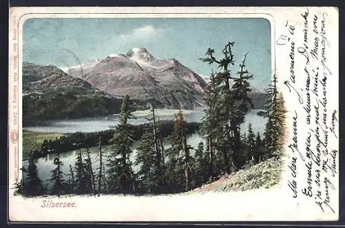 AK Sils, Sicht über den Silsersee