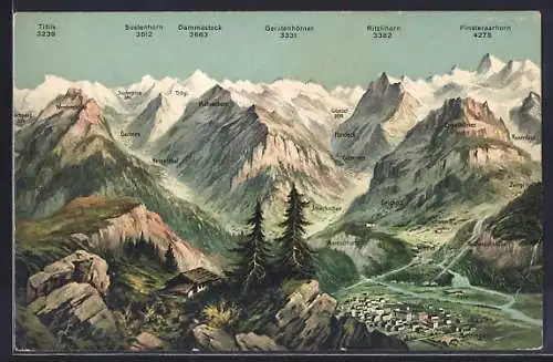 AK Meiringen, Blick zum Ort mit Grimsel und Sustenpass