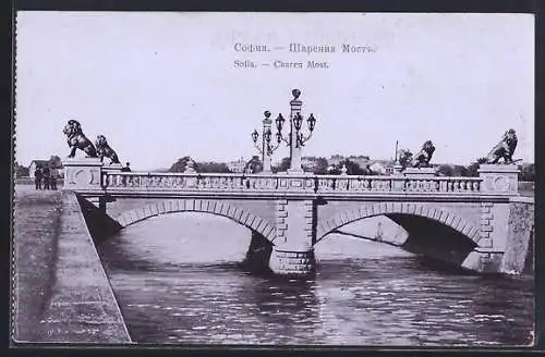AK Sofia, Charen Most