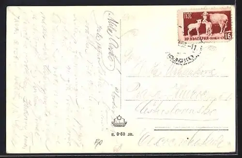 AK Plovdiv, Vue Générale