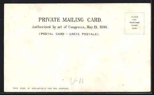 AK Chicago, IL, W. C. T. U. Temple Building, elevated railway, Union Stock Yards