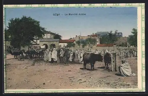 AK Sétif, Le Marché Arabe