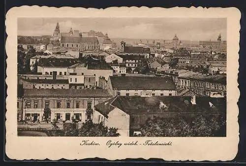 AK Kraków, Ogólny widok
