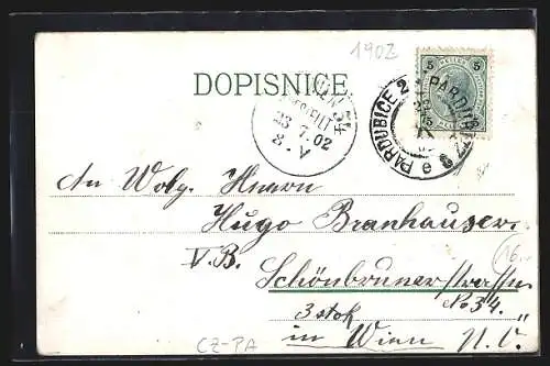 Lithographie Pardubice, Zelena brana, Radnice, Panorama