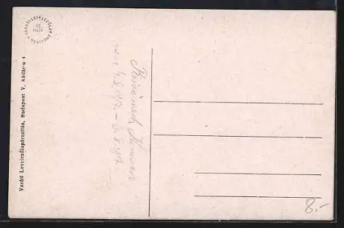 AK Komárom, Franz Josef Quai