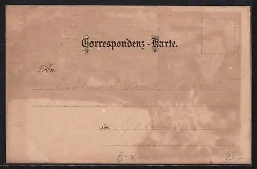 Lithographie St. Gilgen, Ortsansicht mit Schafberg, Hotel auf dem Gipfel
