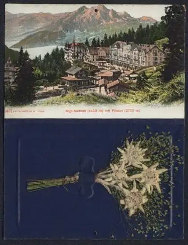Trockenblumen-AK Rigi-Kaltbad, Ortsansicht mit Pilatus, Rigibahn auf der Schnurtobelbrücke, echtes Edelweiss innen
