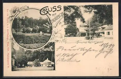 AK Weidlingbach, Schleinzer's Gastwirtschaft, Strassenpartie