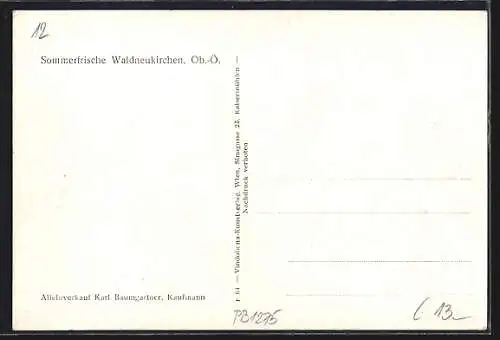 Künstler-AK Waldneukirchen /Ob.-Ö., Teilansicht mit Kirche und Strassenpartie