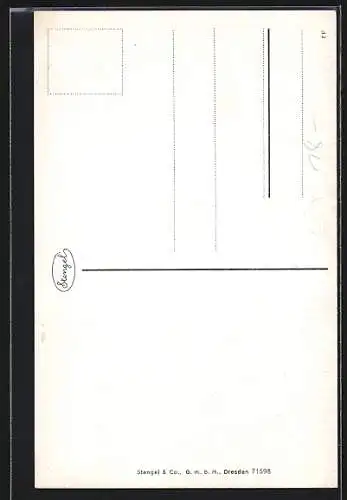 AK Rostock i. Meckl., Alte Häuser am Schilde