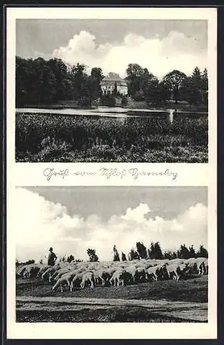 AK Harnekop, Schloss Harnekop, Schäfer mit Herde