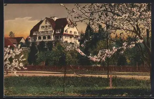 AK Enzisweiler a. Bodensee, Hotel-Pension Traub mit Strassenpartie