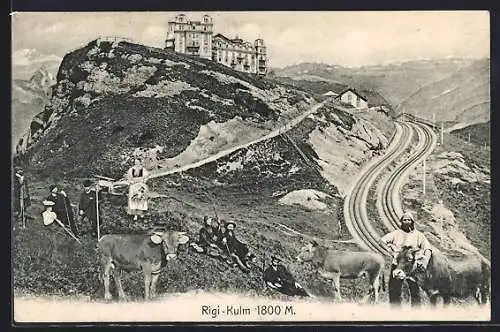 AK Rigi-Kulm, Bauern mit Kühen