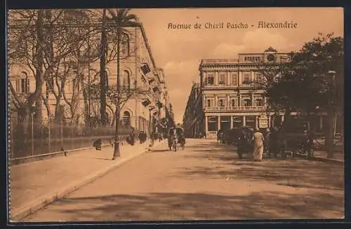 AK Alexandrie, Avenue de Cherif Pascha