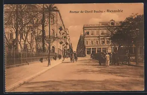 AK Alexandrie, Avenue de Cherif Pascha